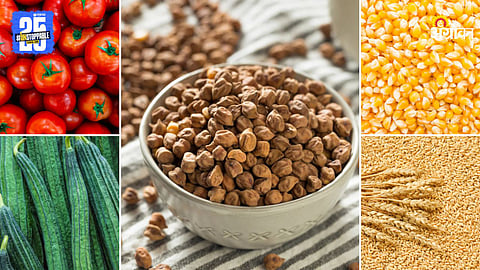 Agriculture Products