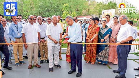 Mango Festival