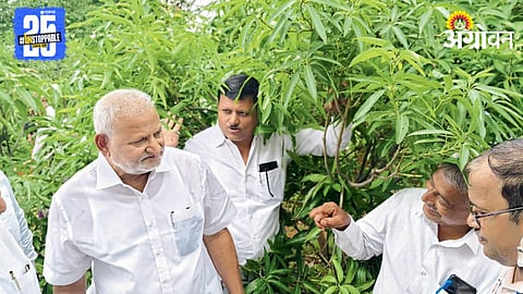 Manikrao Kokate
