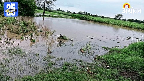 Crop Damage
