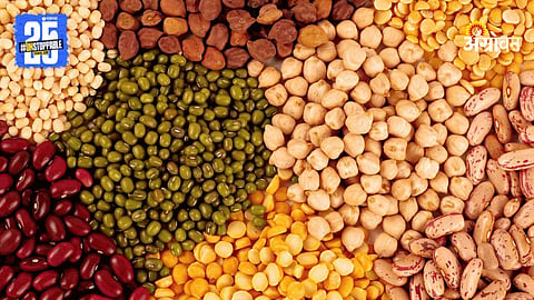 Agriculture Seeds