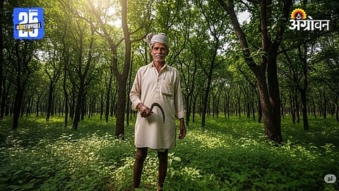 Forest Land Crisis