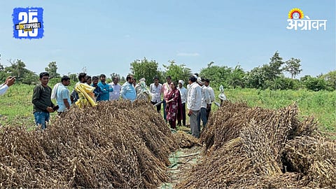 Crop Damage Survey