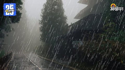 Rain