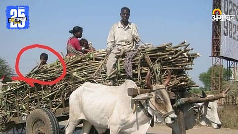Sugarcane Workers and their Childs