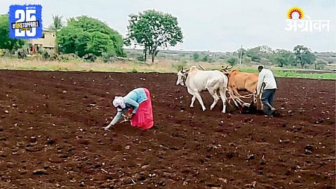 Kharif Sowing