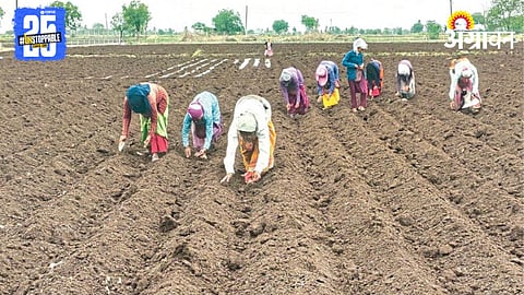 Kharif Sowing