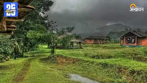 Rain