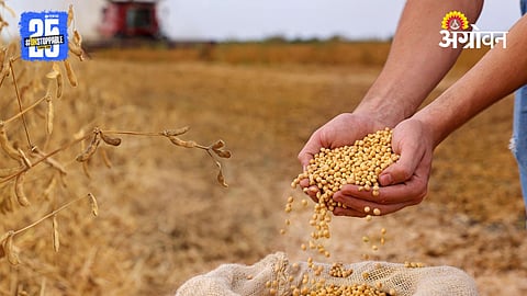 Soybean Shortage