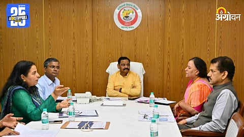 Government Meeting