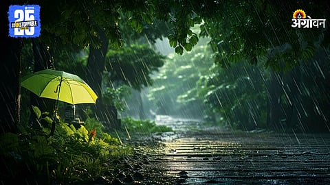 Maharashtra Rain