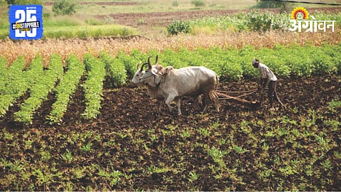 Kharif Sowing