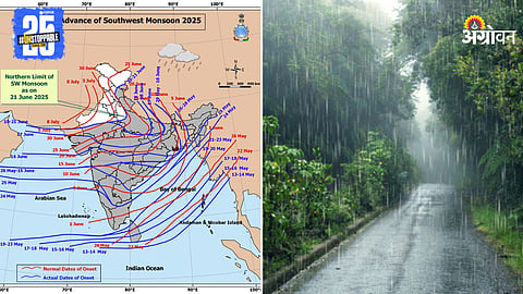 Monsoon Rain