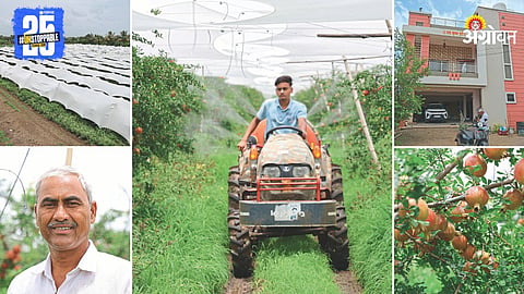 Pomegranate Farming