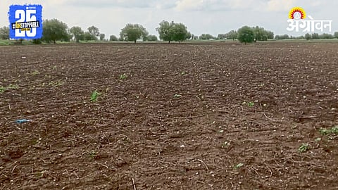 Kharif Sowing