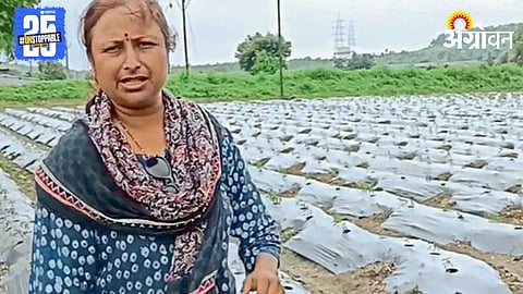 Organic Farming