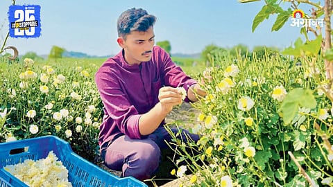 Agriculture