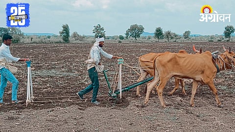 Kharif Sowing