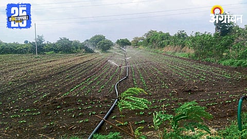 Kharif Sowing
