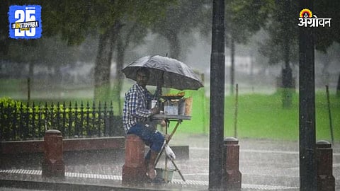 Maharashtra Rain