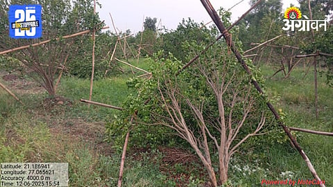 Crop Damage