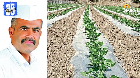 Walpapadi Farming