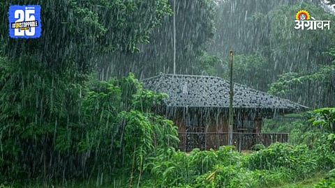 Monsoon Rain
