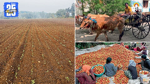 Indian Agriculture