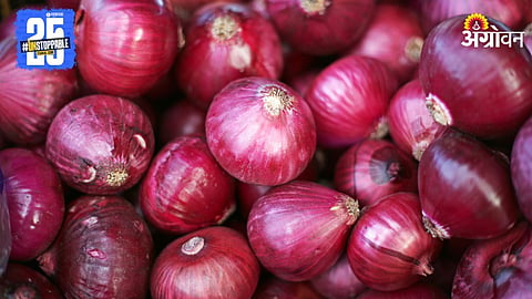 Onion Market