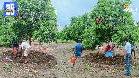 Fruit Orchard Farming