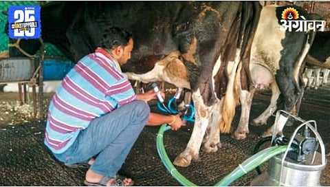 Animal Care