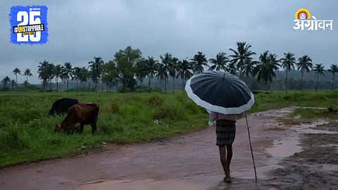 Rain Update