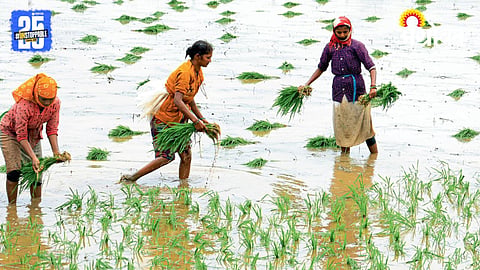 Rice Farming