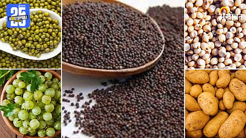 Agriculture Market Products