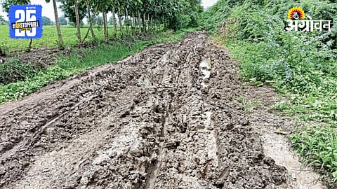 Farm Road Issue