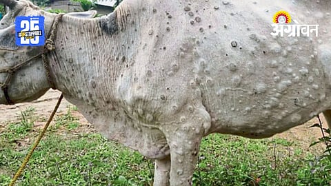 Lumpy Skin Disease