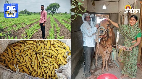 Turmeric Production