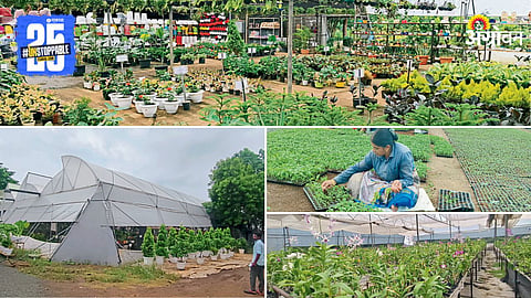Plant Nursery
