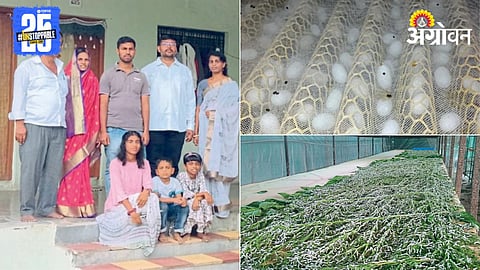 Silk Farming