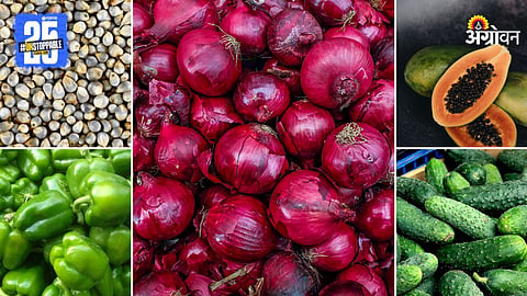 Agriculture Market Products