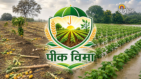Kharif Crop Inspection Delay