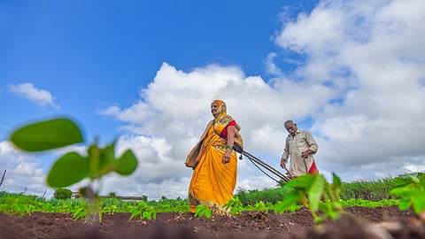 Farmer Couple