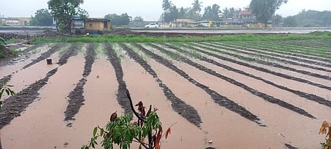 Heavy Rain