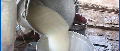 Investigate corruption in co-operative milk unions