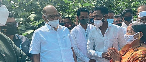 अंजीर बाग एकदम ‘हेल्दी’ आहे...पवारांच्या प्रशस्तीने भारावले जगताप कुटुंबिये..!