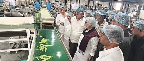 विंचूर एमआयडीसीत १० हजार मेट्रिक टन शेतमालावर प्रक्रिया