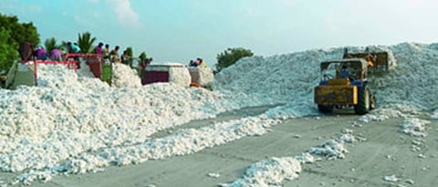 Cotton Industry