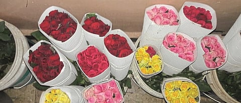 Flower Harvestning