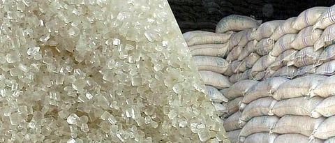 Sugar Production