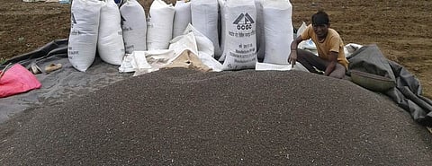 Urad